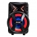 AMVOX CAIXA AMPL ACA-189 MONT.