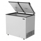 ESMALTEC FREEZER HORIZ 325L ECH350 110